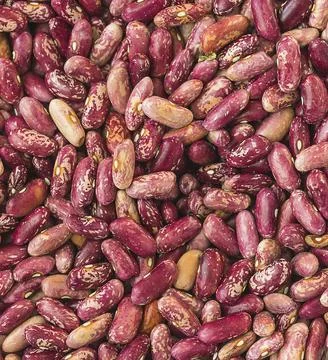 Ripe red beans close up background Stock Photos