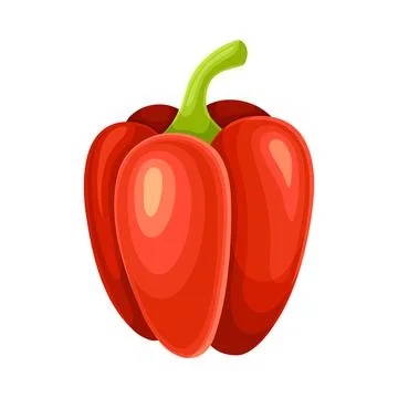 Ripe Red Bell Pepper Vegetable as Healthy Raw Food and Garden Cultivar Closeup Stock Illustration