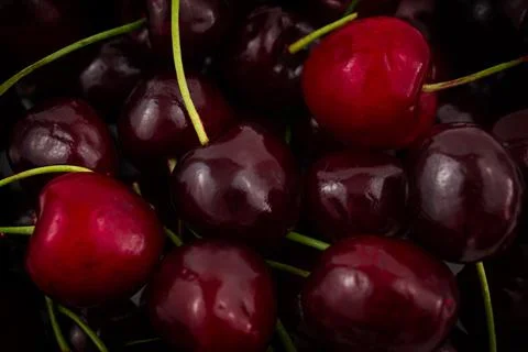 Ripe red cherries close up. Background of fresh fruits Stock Photos