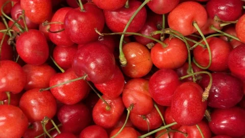 Ripe red cherries with green stems form a captivating close-up background Stock Footage 343631833