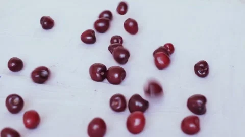 Ripe, red cherries roll on a light surface Stock Footage 313718252