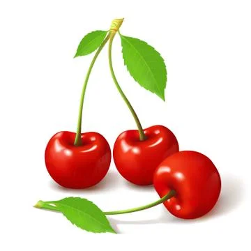 Ripe red cherry berries, vector Stock Illustration