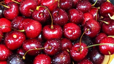 Ripe red cherry close-up rotates Stock Footage 156760450