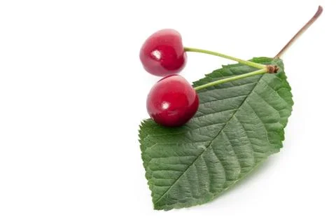 Ripe red cherry isolated Stock Photos