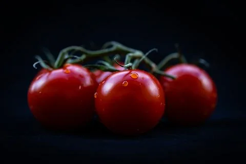 Ripe red cherry tomatoes on a black background. Toned Stock Photos