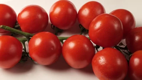 Ripe red cherry tomatoes slowly moving on vine Stock Footage 344915529