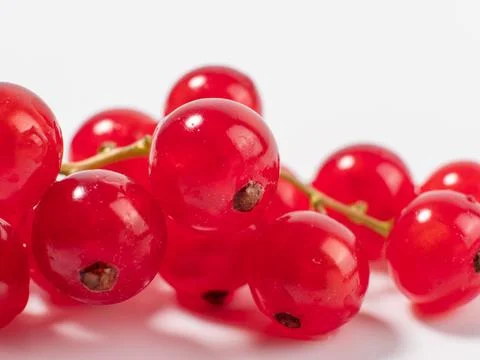 Ripe red currant on a light background. Stock Photos