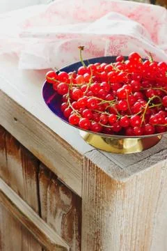 Ripe red currant Stock Photos