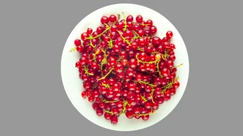Ripe red currant on rotated white plate Video stock 133087308