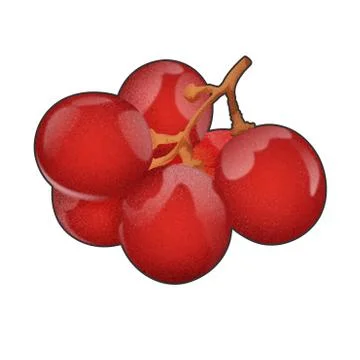 Ripe red grape isolated on white. Stock Illustration