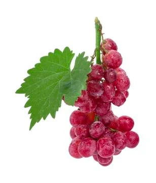 Ripe red grape with leaf isolated on white background Stock Photos