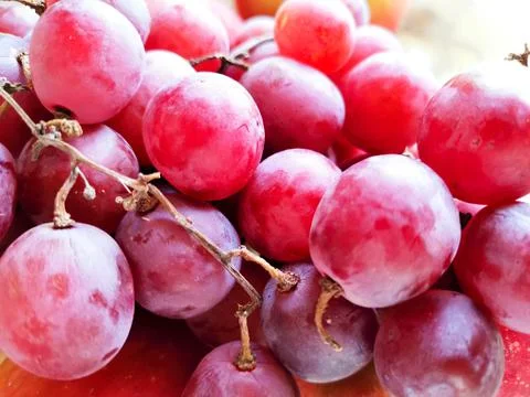 Ripe red grape Stock Photos