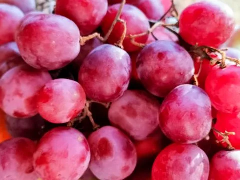 Ripe red grape Stock Photos