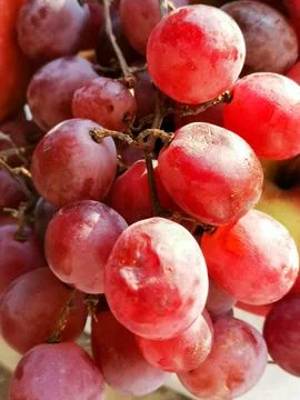 Ripe red grape. Pink bunch with leaves isolated on white. With clipping path. Stock Photos
