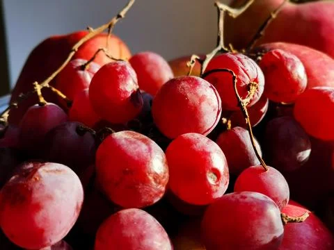 Ripe red grape. Pink bunch with leaves isolated on white. With clipping path. Stock Photos