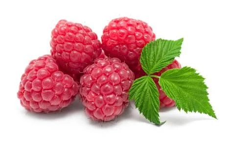 Ripe red raspberries, leaf, composition on white Stock Photos