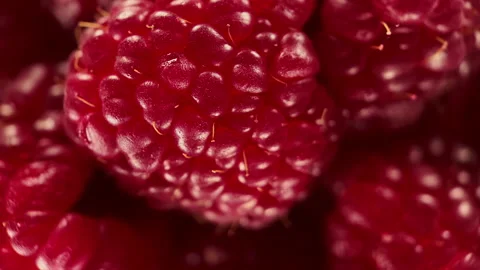 Ripe red raspberries rotating Stock Footage 169621466