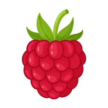 Ripe red raspberry with green leaves. Hand drawn trendy flat style isolated Stock Illustration