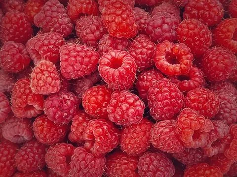 Ripe red raspberry texture background. Fresh and juicy fruits closeup Foto stock