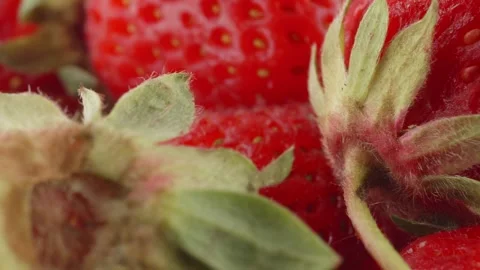 Ripe red strawberries close up rotating camera motion stock footage Stock Footage 336986854