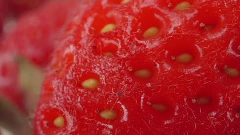 Ripe red strawberries close up rotating camera motion stock footage 库存影片 336986924