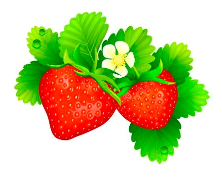 Ripe red strawberries Stock Illustration