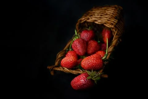 Ripe red strawberries scattered from wicker basket on black background Stock Photos