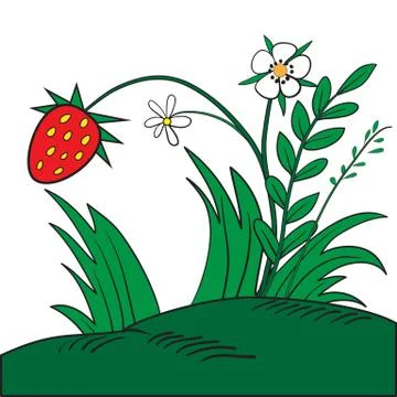 Ripe red strawberry Stock Illustration