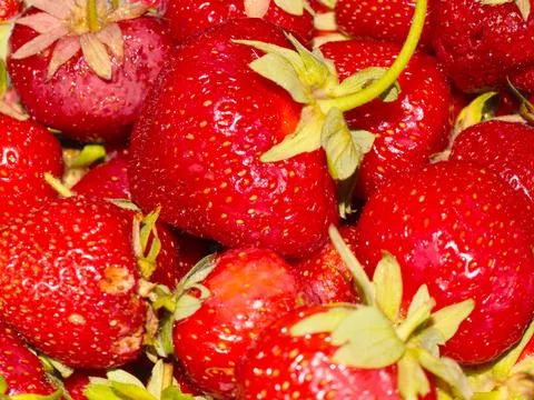 Ripe red strawberry Stock Photos