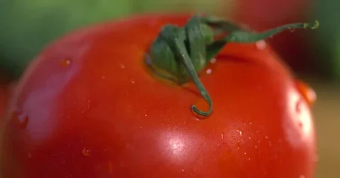 Ripe red tomato being washed. Water running down in slow motion Stock Footage 69276348