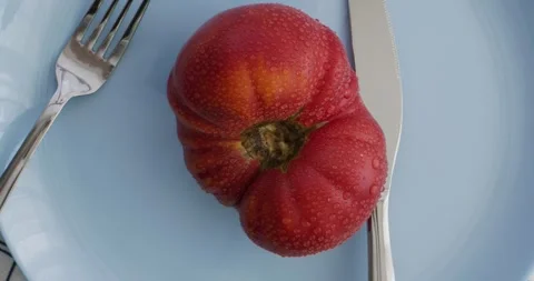 Ripe red tomato with knife and fork on a blue plate. Stock Footage 344568716
