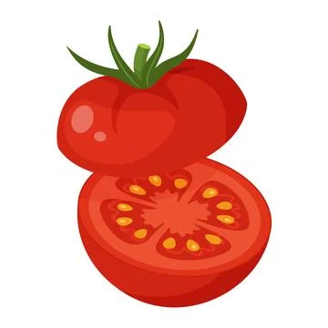 Ripe red tomato sliced in half. Hand drawn trendy flat style isolated on tr.. Stock Illustration
