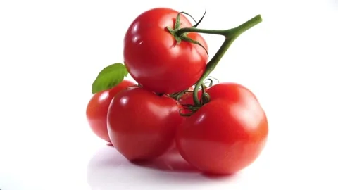 Ripe red Tomatoes Bundle - Tomaten Basilikum1 50FPS Stock Footage 277096906