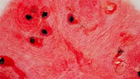 Ripe red watermelon pattern. Healthy nutrition fruit. Vegan diet with fruits and Stock Footage 162146494
