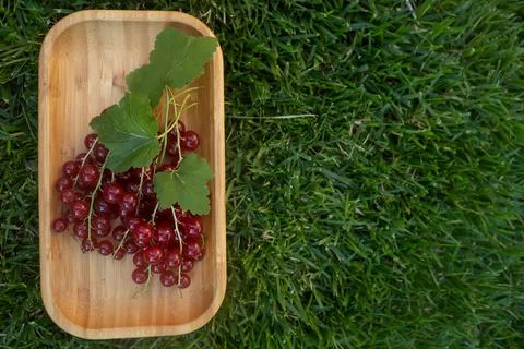 Ripe redcurrant berries on a wooden rectangular platter on the grass, top vie Stock Photos