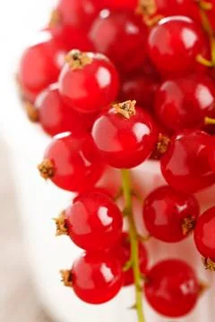 Ripe redcurrant Stock Photos