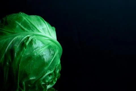 Ripe roach of green cabbage on a black background Stock Photos