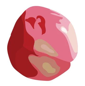 Ripe, ruddy, red apple. Vector stock illustration isolated on white backgroun Stock Illustration