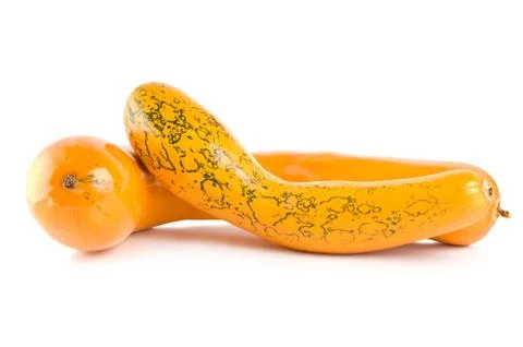 Ripe squash Stock Photos