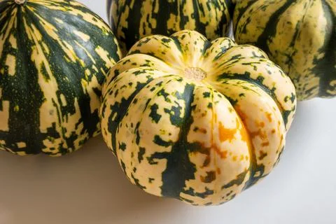 Ripe squash pumpkins background closeup Stock-Fotos