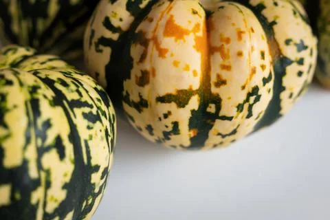 Ripe squash pumpkins background closeup Photos