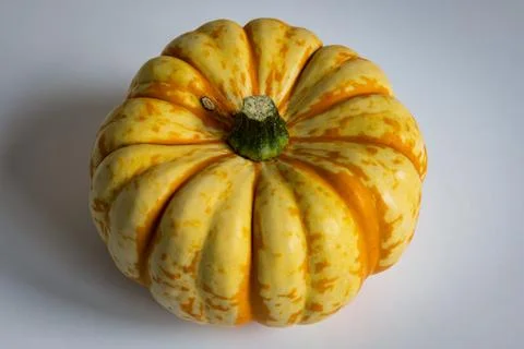 Ripe squash pumpkins background closeup Stock-Fotos