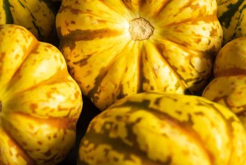Ripe squash pumpkins background closeup Stock-Fotos
