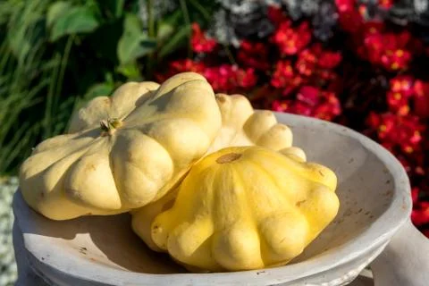 Ripe squashes are on the dish Stock Photos