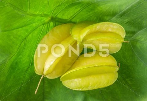 Ripe star apple on green leaf. Stock Photos