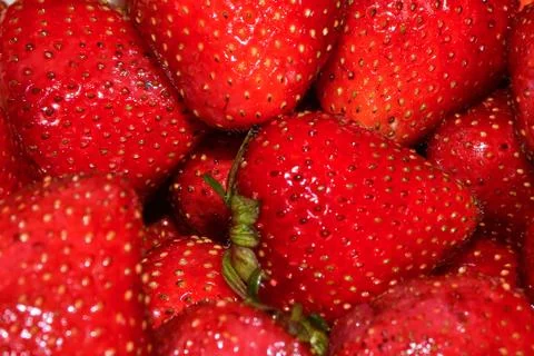 Ripe strawberries. Stock Photos