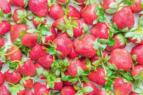 Ripe strawberries Stock Photos