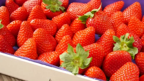 Ripe strawberry in a box. Stock Footage 248036219