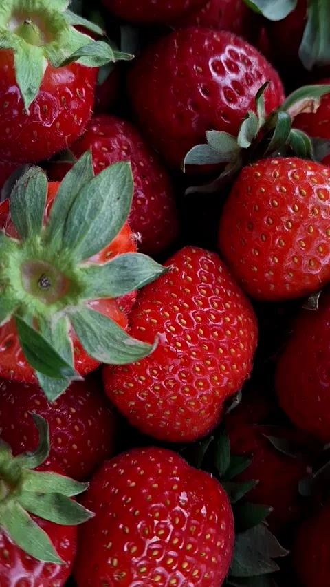 Ripe strawberry Stock Footage 341676658