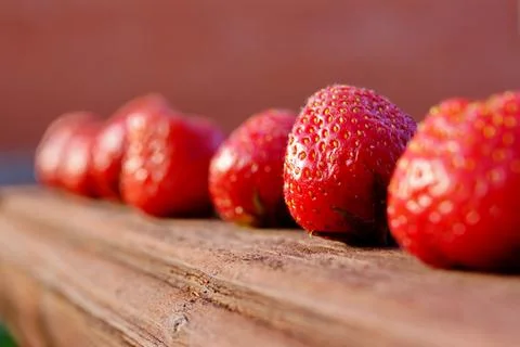 Ripe strawberry. 写真素材